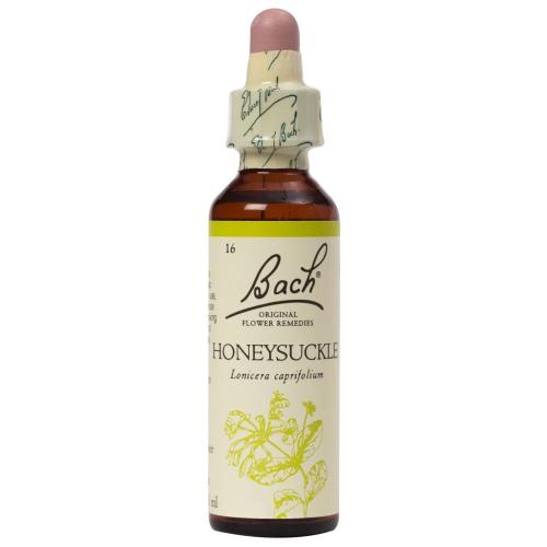 Bach Honeysuckle Συμπλήρωμα Διατροφής Ανθοϊάματος με Εκχύλισμα Αγιοκλήματος για την Αντιμετώπιση του Αισθήματος της Μελαγχολίας & της Κατάθλιψης 20ml